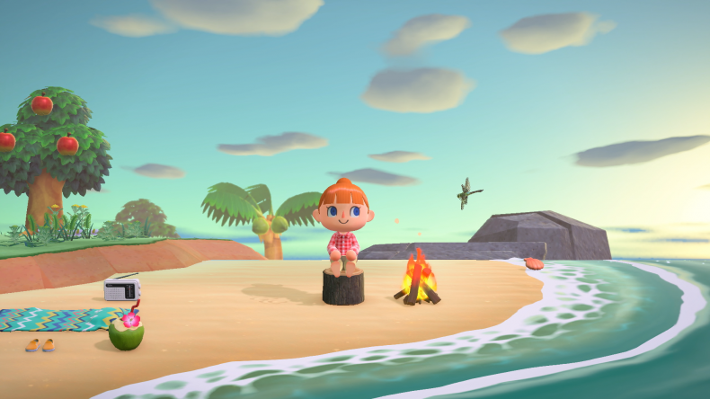 Image of Island Tour 2
