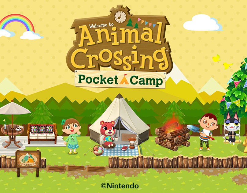 Pocket Camp Image